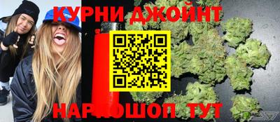гидра Бузулук